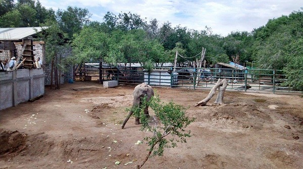 2015-07-30-balneario-san-jorge (6)