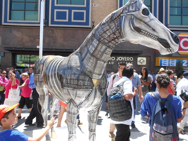 2015-08-25-caballos-jrz-y-amo-jrz (15)