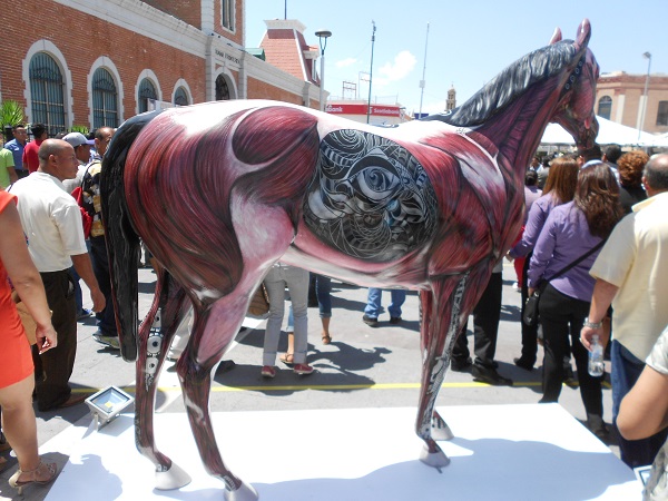 2015-08-25-caballos-jrz-y-amo-jrz (19)