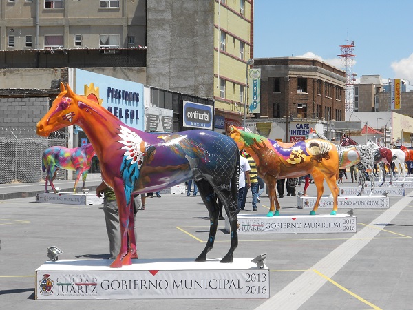 2015-08-25-caballos-jrz-y-amo-jrz (31)