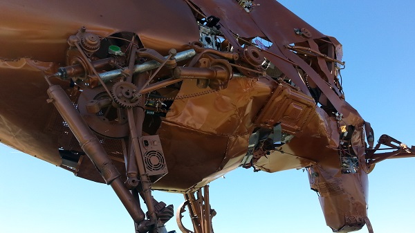 2016-03-14-utcj-toro-bravo (6)