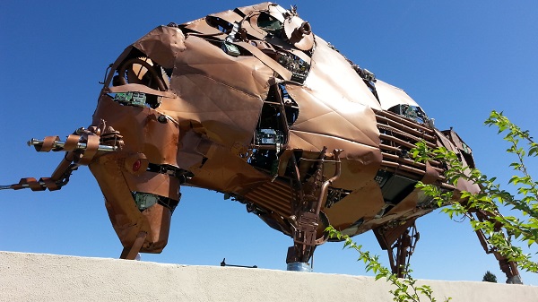 2016-03-14-utcj-toro-bravo (8)