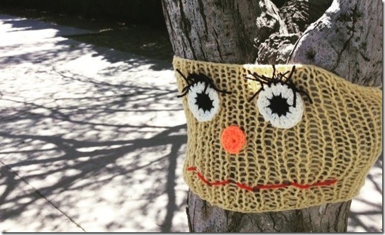 2016-03-15-yarn-bombing-mach (1)