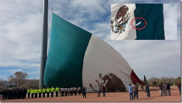 2016-02-06-megabandera (1)